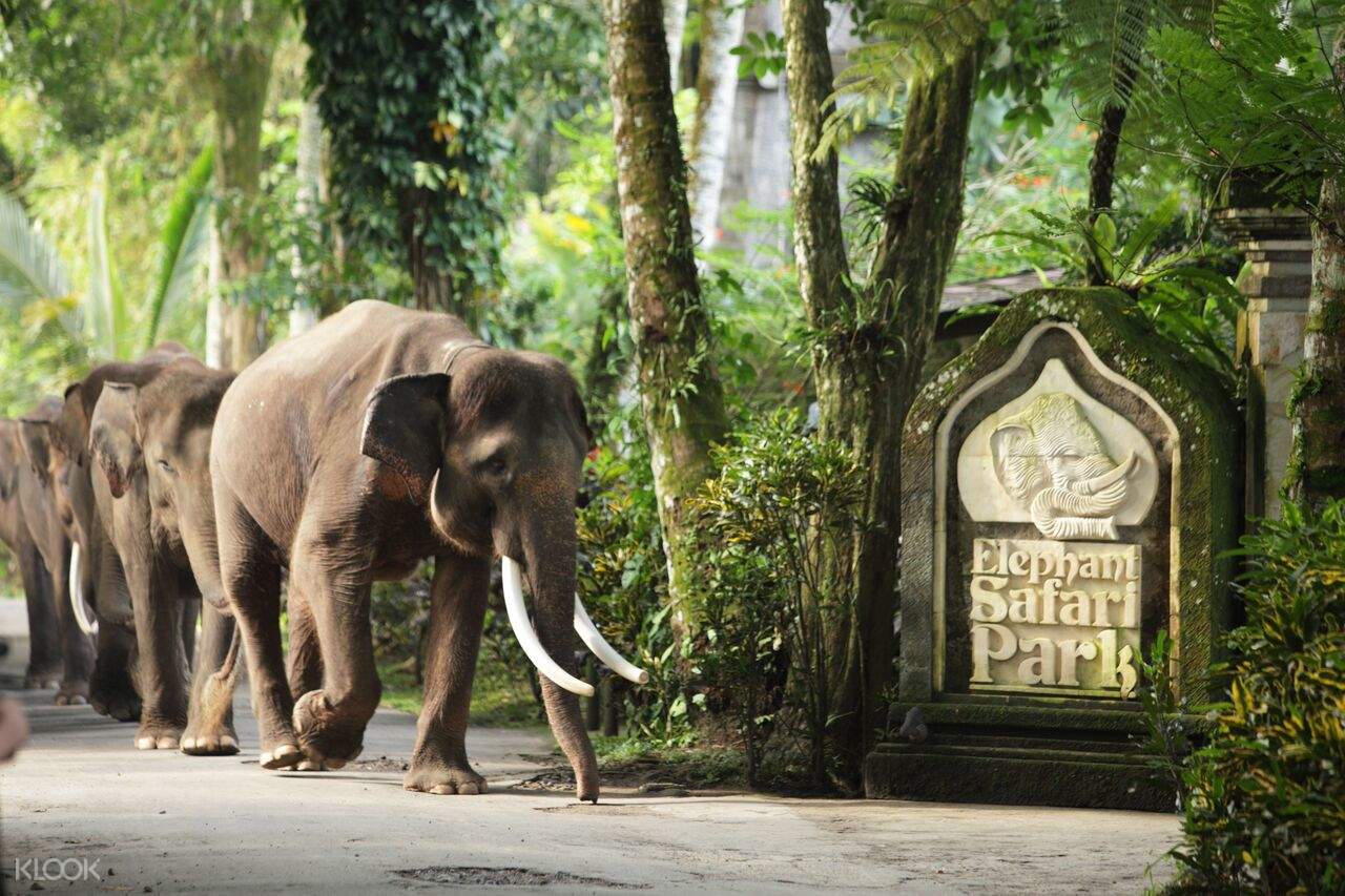 Elephant Safari Park Lodge находится на острове Бали