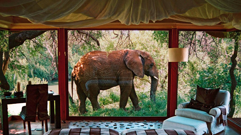 Sanctuary Makayane Safari Lodge отель