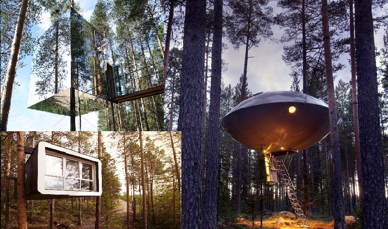 Tree hotel находится на территории шведского леса, недалеко от деревни Харадс